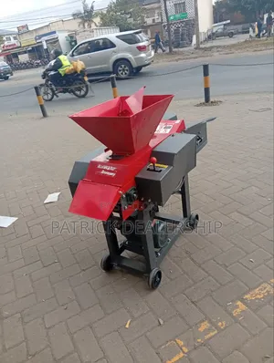 Multi-Purpose High-Speed Feed Conveyor