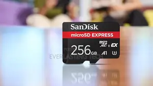 SanDisk Extreme Express 256GB microSDXC Card