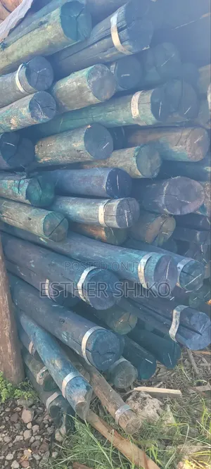 Treated & Untreated Fencing Posts