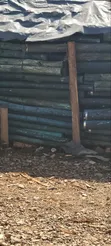 Treated & Untreated Fencing Posts - 2
