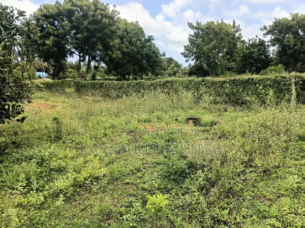 1/4 Acre Residential Land for Sale, Kibarani - 1