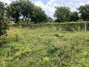 1/4 Acre Residential Land for Sale, Kibarani