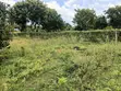 1/4 Acre Residential Land for Sale, Kibarani - 1
