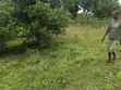 1/4 Acre Residential Land for Sale, Kibarani - 2