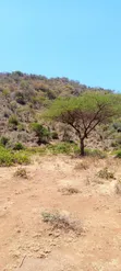 15 Acres Land Next to Borehole, Ngong Hills - 2
