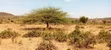 15 Acres Land Next to Borehole, Ngong Hills - 3