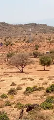 15 Acres Land Next to Borehole, Ngong Hills - 4