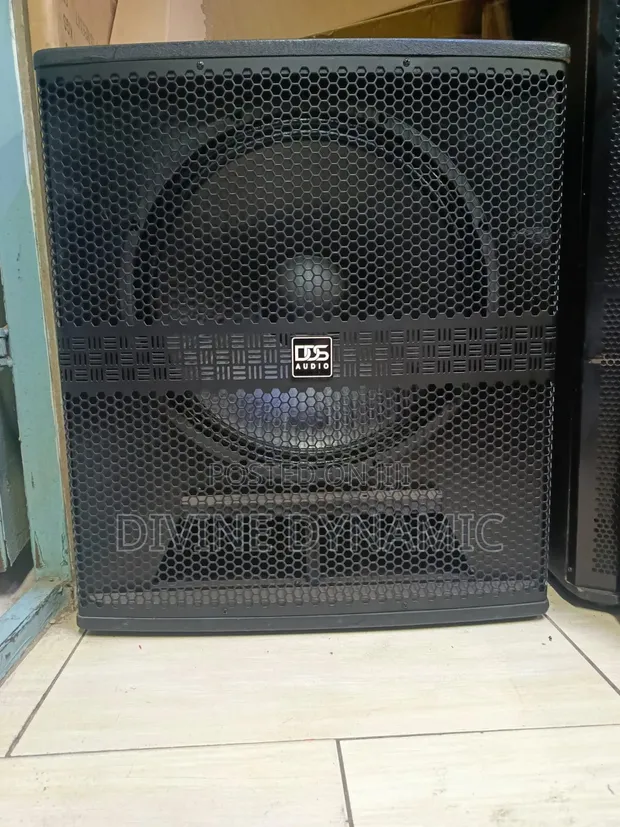 DDS Bass Speaker - Brand New - 1