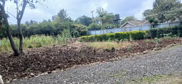 Prime Kerarapon Drive Plot - 1/4 Acre - 1