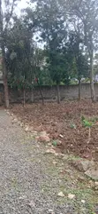 Prime Kerarapon Drive Plot - 1/4 Acre - 3