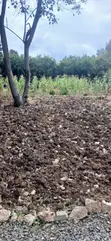 Prime Kerarapon Drive Plot - 1/4 Acre - 4