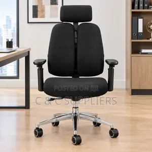 Executive Dual Back Chair with Lumbar Support