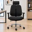 Executive Dual Back Chair with Lumbar Support - 1