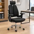 Executive Dual Back Chair with Lumbar Support - 2