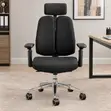 Executive Dual Back Chair with Lumbar Support - 3