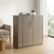 Kabati la Kredenza la Grey lenye Milango 2 - 3