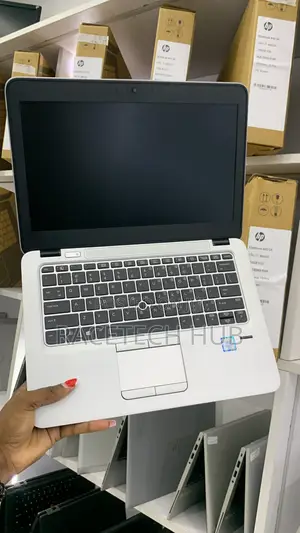 HP EliteBook 820 G3 Laptop: Intel Core i5, 8GB RAM, 256GB SSD