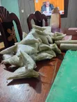 Tropical Heat Allspice (500g) - 5