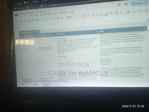 Huduma za Kitaalamu za Data Entry na Excel Formatting