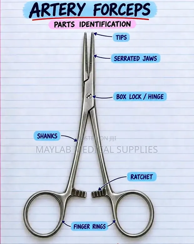 Stainless Steel Artery Forceps - Surgical Hemostatic Forceps - 1
