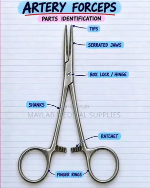 Stainless Steel Artery Forceps - Surgical Hemostatic Forceps