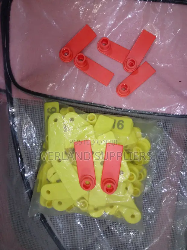 Large ID Ear Tags (Pack) - 1