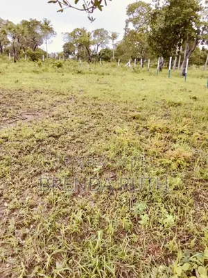 Land for Sale in Diani - 50x100 Plots