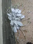 RGB Adapter - 2