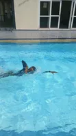 Blue Summit Swim Club - Madarasa ya Kuogelea - 3
