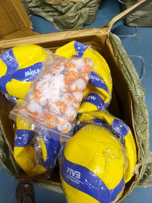 Mikasa Volleyballs