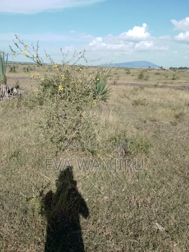 1/4 Acre Land for Sale in Juja Sunrise Estate - 1