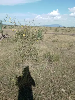 1/4 Acre Land for Sale in Juja Sunrise Estate