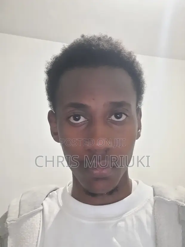 Mtafuta Kazi - Mwenye Suluhisho na Kiongozi wa Timu - 1