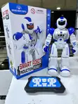 Robot Toyi Akili - 1