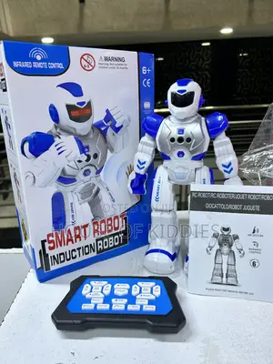 Robot Toyi Akili