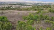 Prime 1-Acre Land for Sale in Mweiga - 2