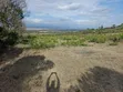 Prime 1-Acre Land for Sale in Mweiga - 5