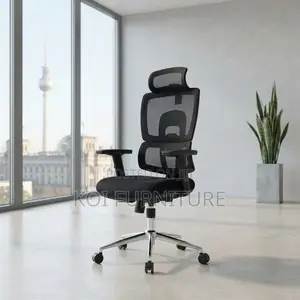 Orthopedic Executive Mesh Fabric Office Chair