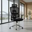 Orthopedic Executive Mesh Fabric Office Chair - 3