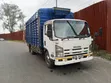 Isuzu Elf NQR 2013 White - 4