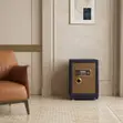 Metallic Modern Combination Lock Office Safe (60kg) - 5