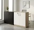 Credenza ya Ofisi ya Mbao Milango 2 - 1