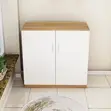 Credenza ya Ofisi ya Mbao Milango 2 - 2
