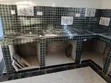 Professional Tile Fixing & Installation - Emms Tiling Solutions - 5