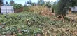 Kiwanja cha 1/8 cha Prime kwa Uuzaji Kipkenyo, Eldoret - 3