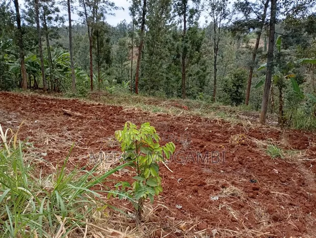 Half Acre Residential Land with Title Deed in Igoji West - 1