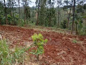 Half Acre Residential Land with Title Deed in Igoji West