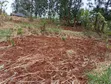Half Acre Residential Land with Title Deed in Igoji West - 2