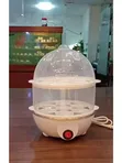 Brand New Double Egg Boiler - 1