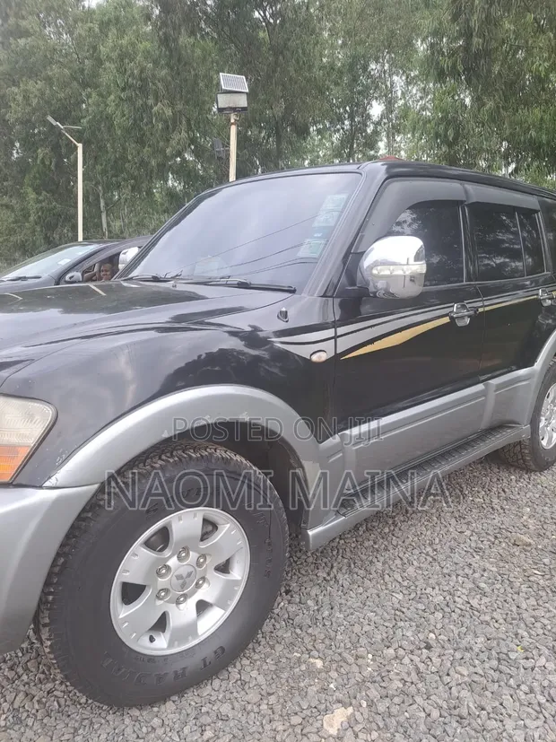 Mitsubishi Pajero 2004 - 1